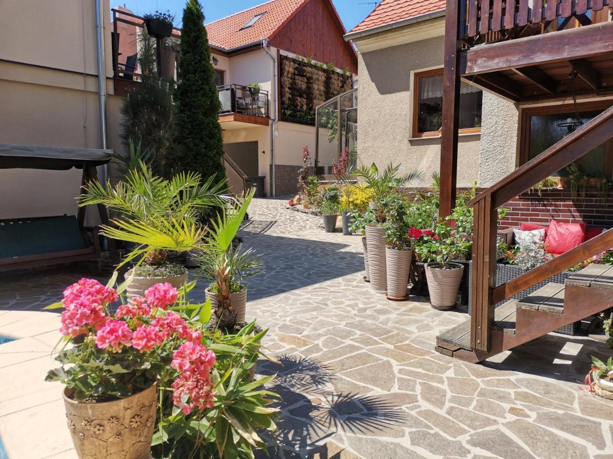 Aranka Zatec (Usti nad Labem)
