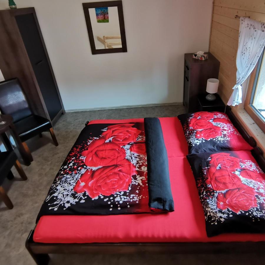 Apartment Aranka Zatec (Usti nad Labem)