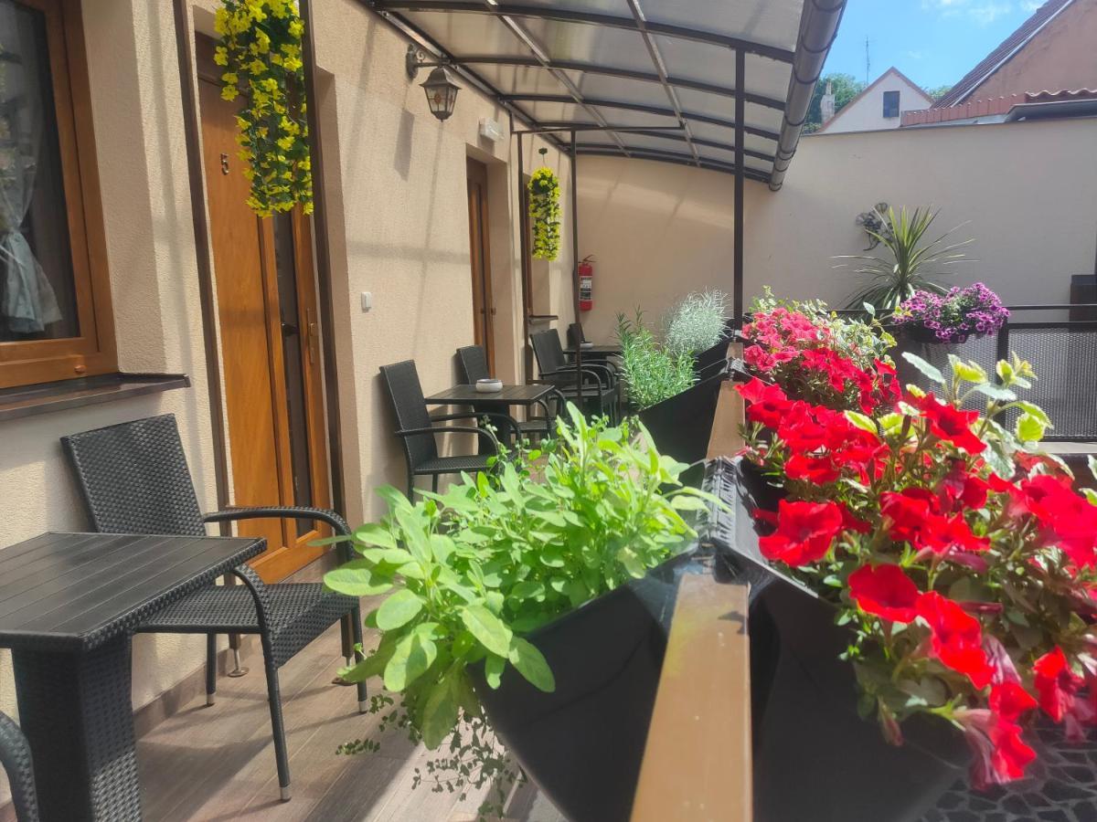 Aranka Apartment Zatec (Usti nad Labem)